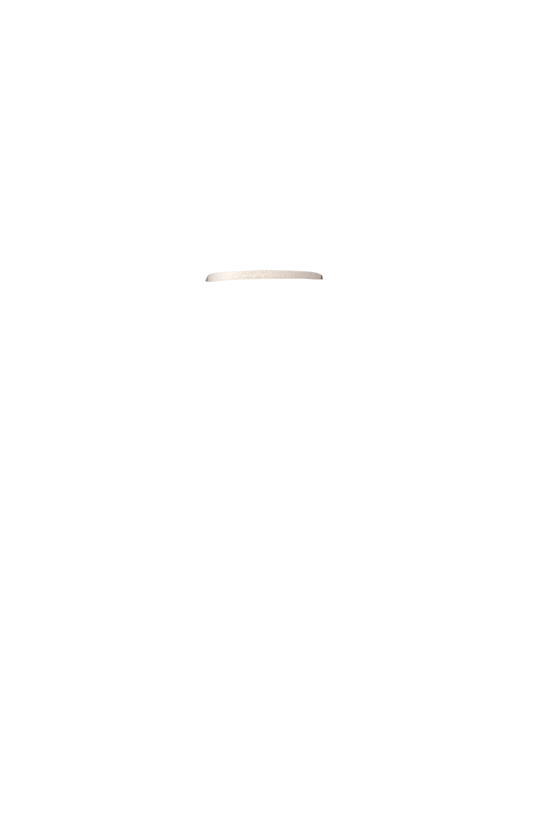 0327174210_67e50f62cead5.png